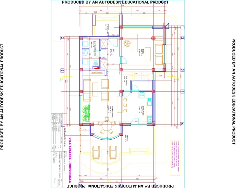 azalee-individuale-model