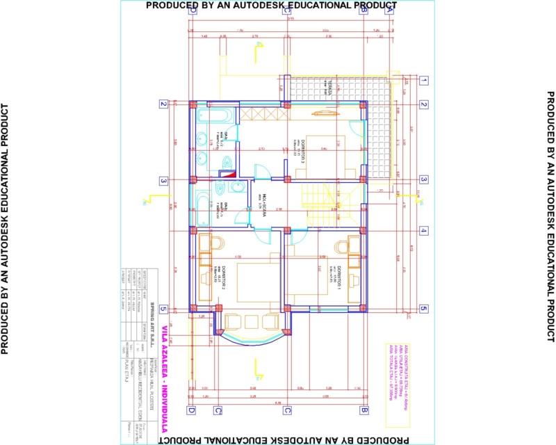 azalee-individuale-etaj