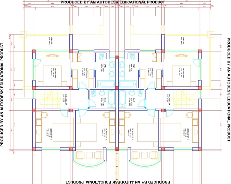 azalee-individuale-etaj
